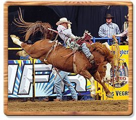 Bareback Riding 2009 World Champion - Bobby Mot