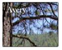 Avery zip 95224