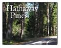 Hathaway Pines zip 95233