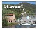 Moccasin