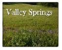 Valley Springs zip 95226