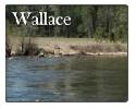 Wallace zip 95254