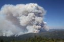 Photo Courtesy of: USFS-Mike McMillan