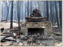 Photo courtesy U.S. Forest Service
