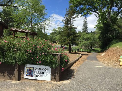 Dragoon Gulch Trail