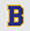 Big Valley Logo